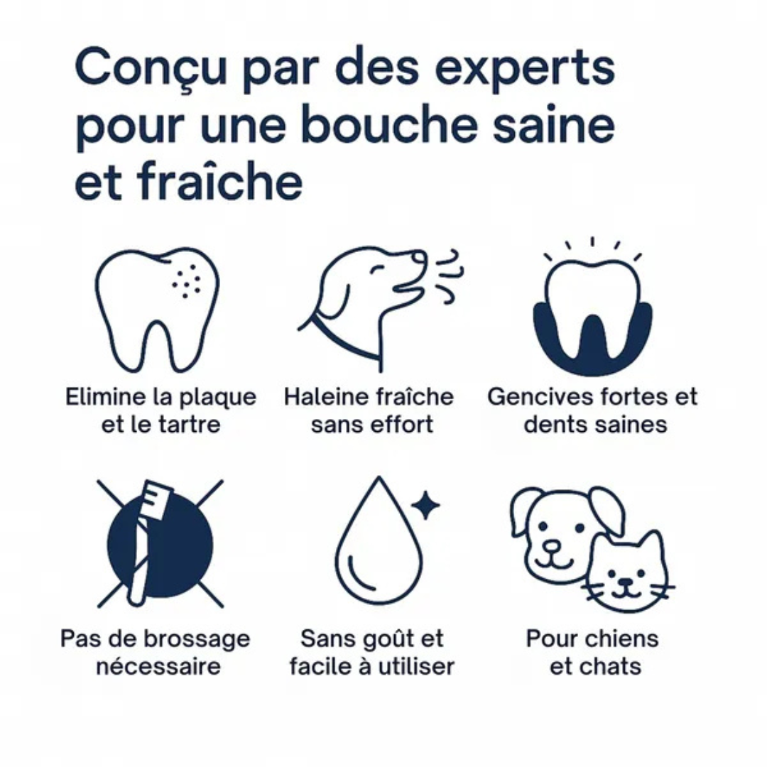 Spray Dentaire Anti-Tartre pour Chiens