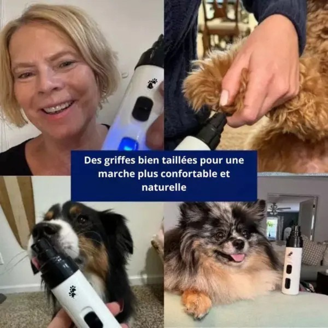 Lime électrique silencieuse pour griffes d’animaux