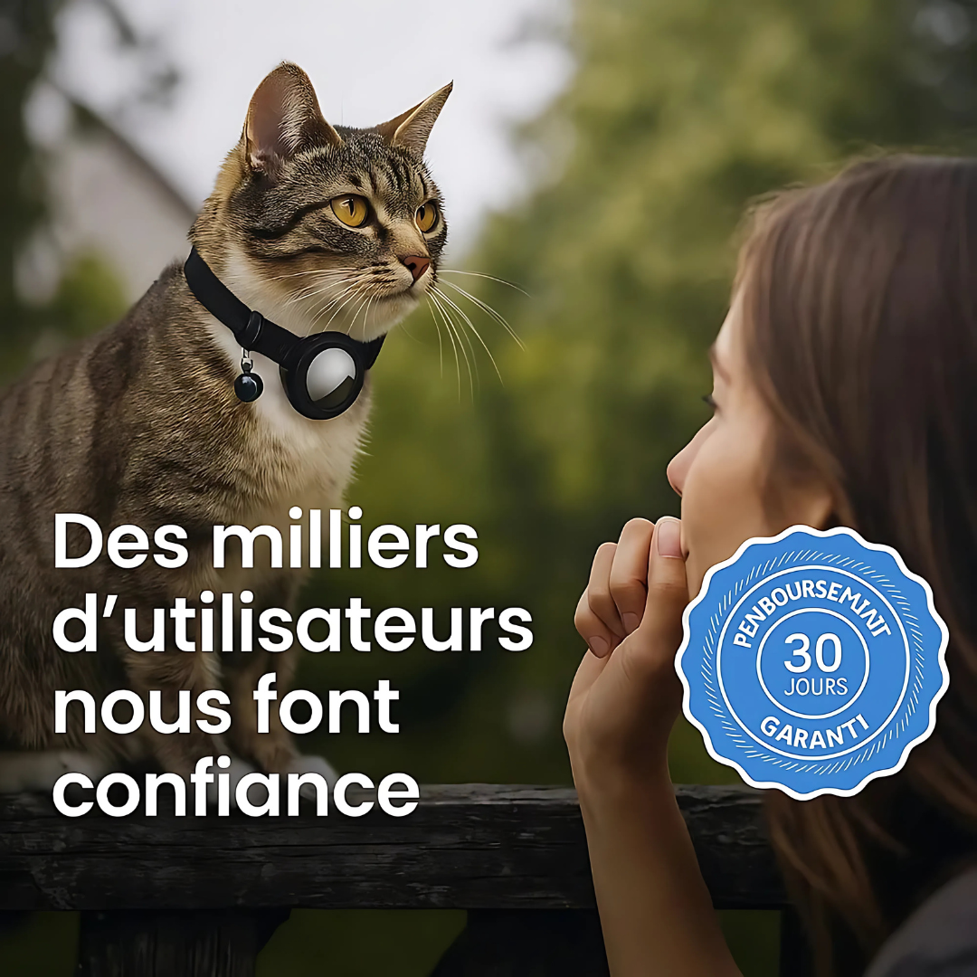 Collier GPS pour Chat