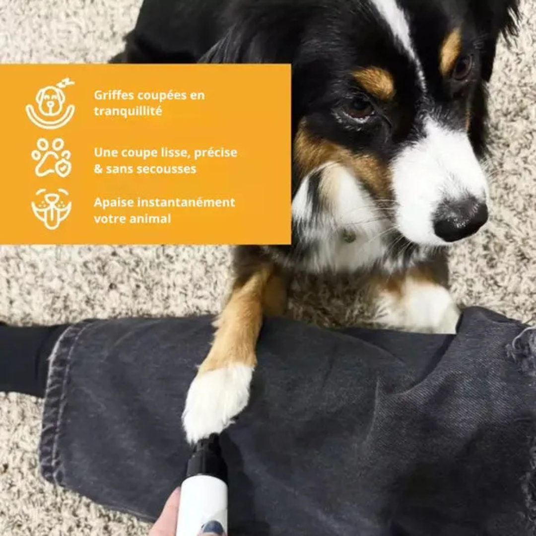 Lime électrique silencieuse pour griffes d’animaux