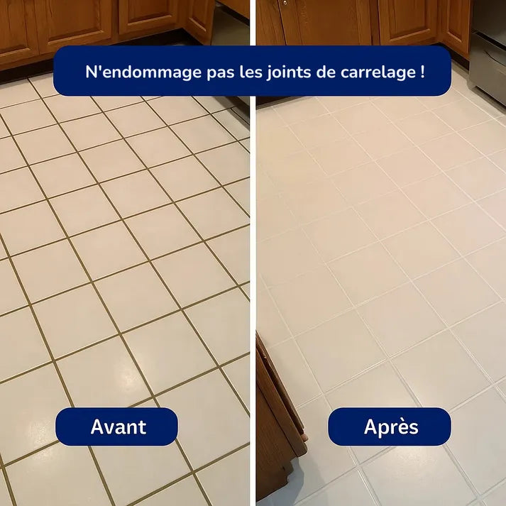 Nettoyeur Vapeur Multifonction